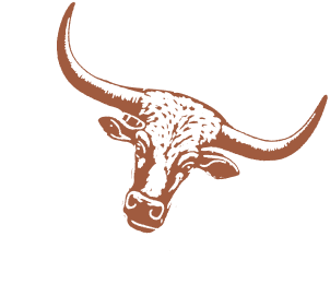 Longhorn icon illustration